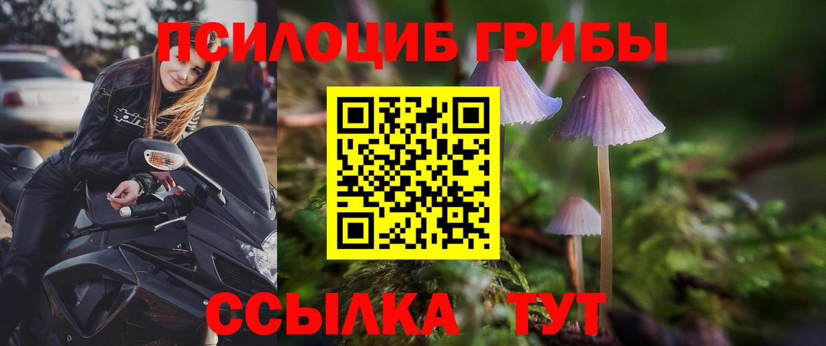 Галлюциногенные грибы MAGIC MUSHROOMS Камышин